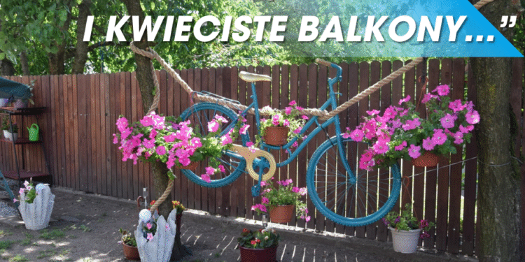 XXIX Edycja Konkursu „Gdzie te piękne ogrody i kwieciste balkony…”
