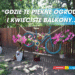 XXIX Edycja Konkursu „Gdzie te piękne ogrody i kwieciste balkony…”