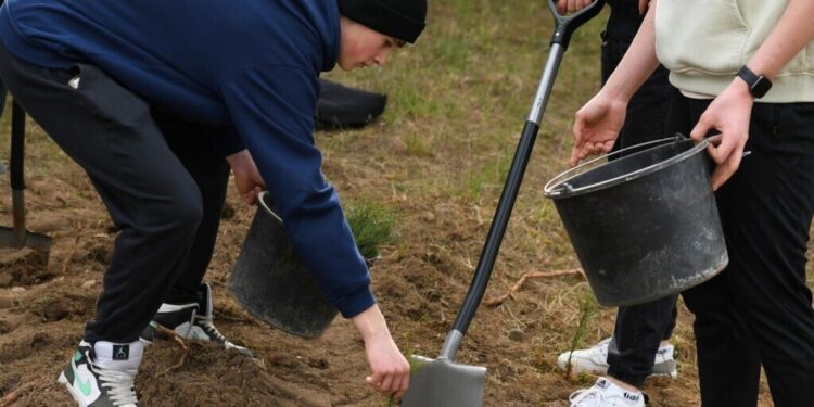 Akcja sadzenia 3 000 drzew – wspólna inicjatywa miasta i młodzieży