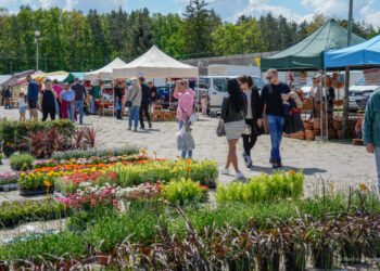 Jarmark „Zielono i smacznie” – udana pierwsza edycja