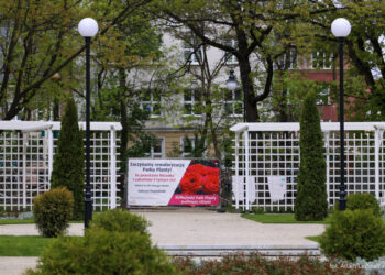 Różanka otwarta dla wszystkich