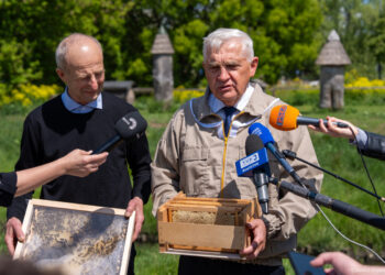 Miodobranie w miejskiej pasiece