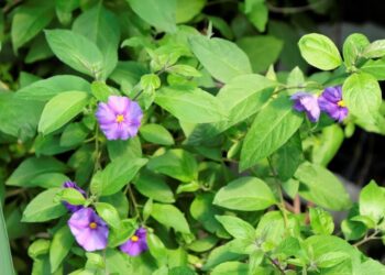 II edycja Ogólnopolskiego Konkursu