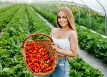 Pochodzenie ma znaczenie - kupujmy polskie truskawki