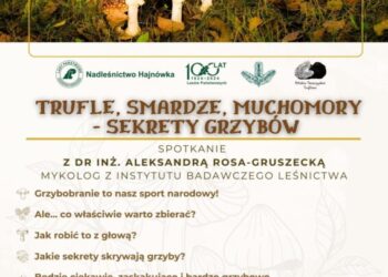 Trufle, smardze, muchomory – sekrety grzybów