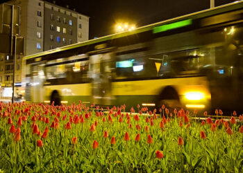 Wakacyjne rozkłady jazdy autobusów