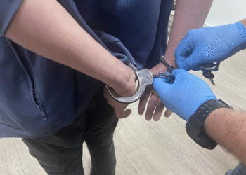 Złodziej wózka ustalony