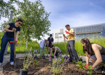 Politechnika Białostocka realizuje projekt My Green University. Zagraniczni wolontariusze posadzili rośliny na kampusie
