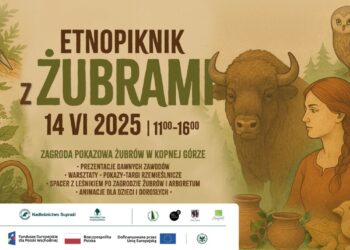 Etnopiknik z żubrami
