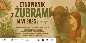Etnopiknik z żubrami