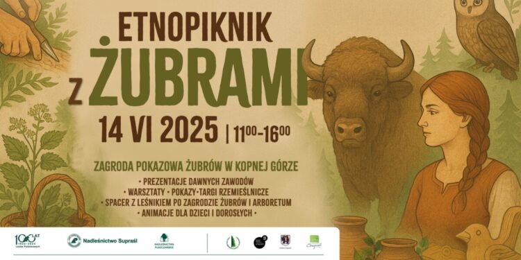 Etnopiknik z żubrami