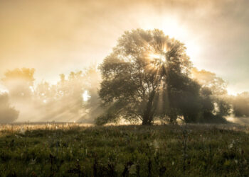 Światło – wystawa fotografii Ewa Matuszczak
