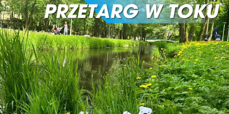 20250612NowyZlobekPrace