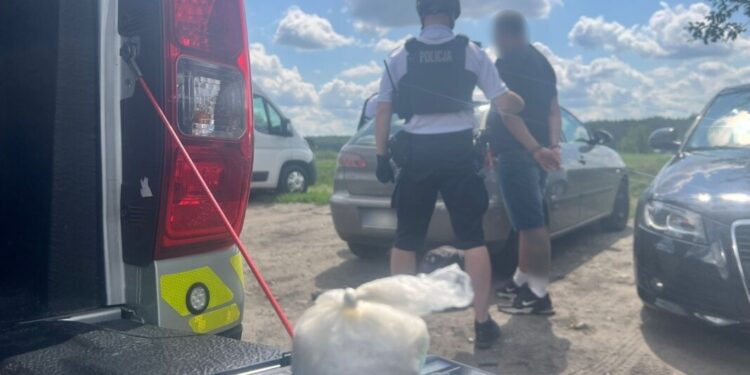 Na ryby bez wędek ale, z narkotykami