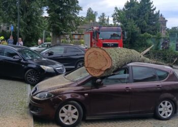 (Nie)typowa akcja strażaków