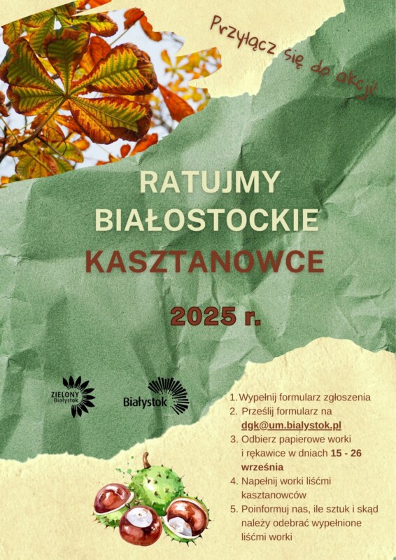 Białostoczanie kontra szrotówek – dołączmy do akcji ochrony kasztanowców