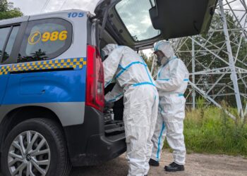 Miasto Białystok reaguje na pojawiające się dziki