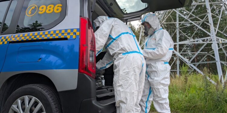 Miasto Białystok reaguje na pojawiające się dziki