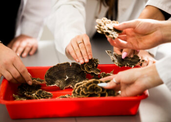 Politechnika Białostocka będzie chronić bioróżnorodność Podlaskiego