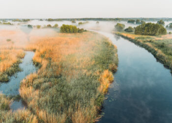 CHARYTATYWNY LOT BALONEM Z FINALISTAMI EUROWIZJI