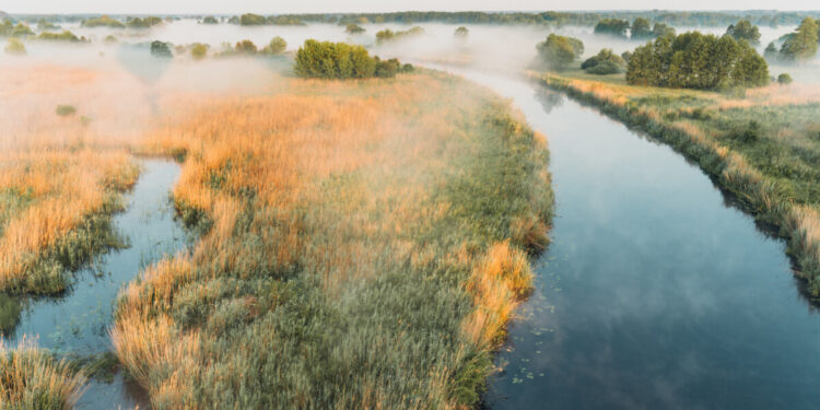 CHARYTATYWNY LOT BALONEM Z FINALISTAMI EUROWIZJI