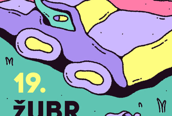 19. Międzynarodowy Festiwal Filmów Krótkometrażowych ŻUBROFFKA