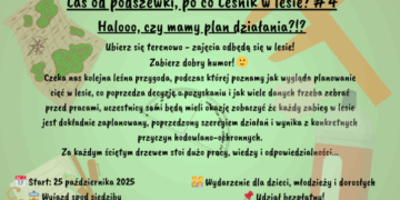Las od podszewki – po co leśnik w lesie? #4