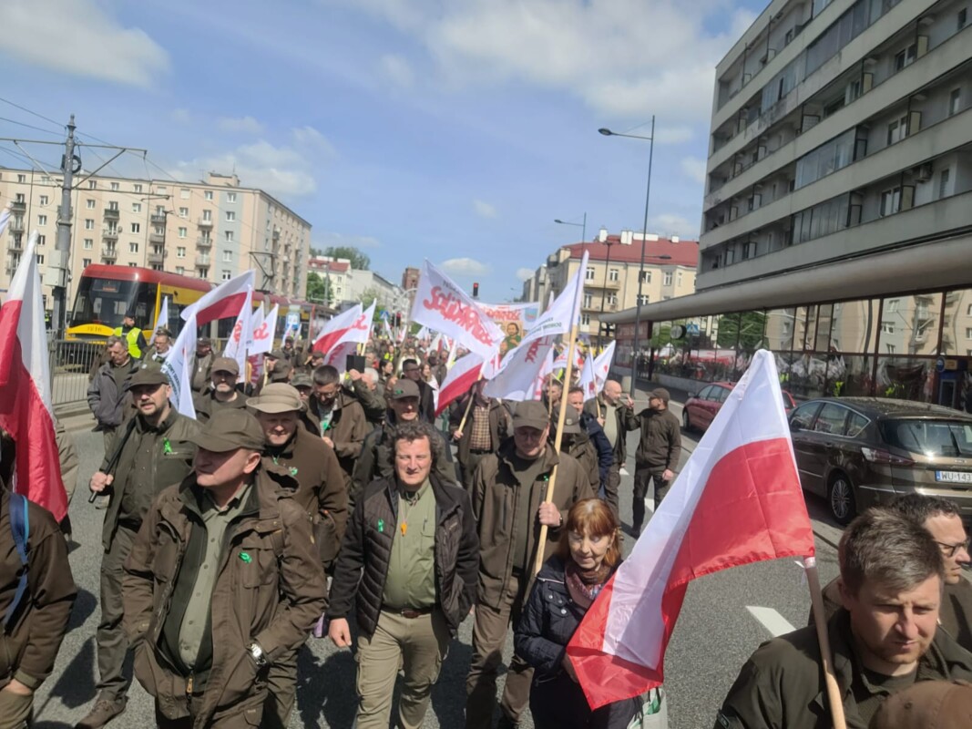 Wielki ogólnopolski protest leśny w Białymstoku