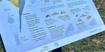 13 grudnia - Razem z leśnikami chronimy ptaki