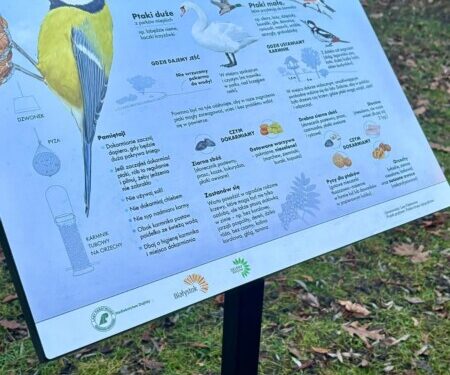 13 grudnia - Razem z leśnikami chronimy ptaki