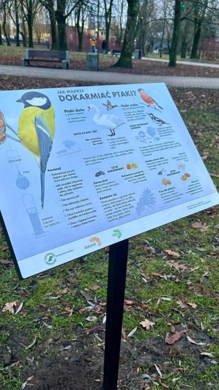 13 grudnia – Razem z leśnikami chronimy ptaki