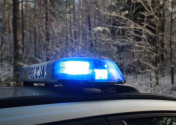 PIĘCIU POSZUKIWANYCH ZATRZYMANYCH W WEEKENED