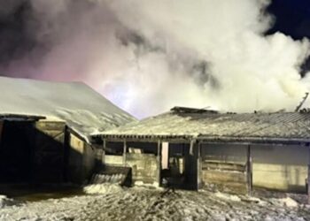 Pożar budynku inwentarskiego