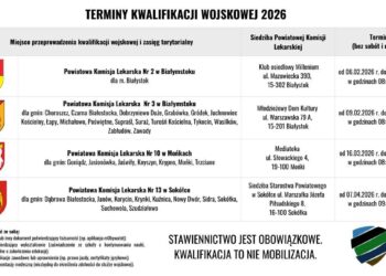 infografika
