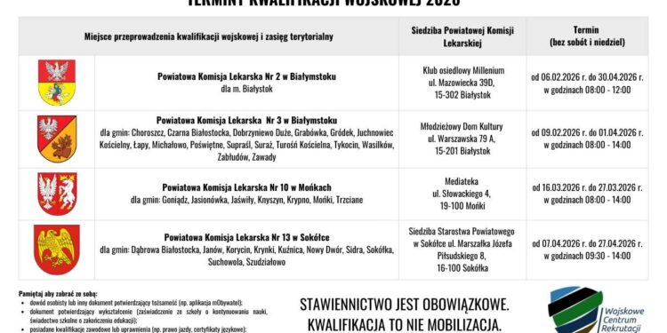 infografika