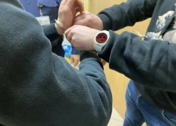 UKRADLI ELEKTRONARZĘDZIA NA PONAD 10 TYSIĘCY ZŁOTYCH