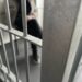 UKRADŁ TOREBKĘ - POLICJANCI ZATRZYMALI GO PO 30 MINUTACH