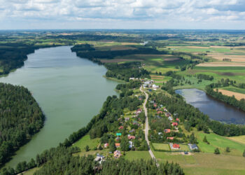 Otwarty konkurs ofert w sferze ekologii, ochrony zwierząt i dziedzictwa przyrodniczego