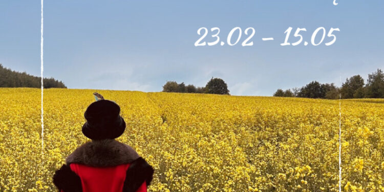 Baner