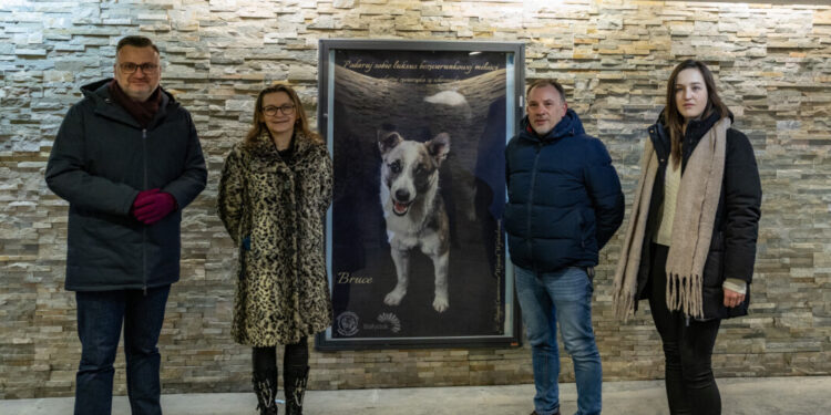 Podaruj sobie luksus bezwarunkowej miłości
