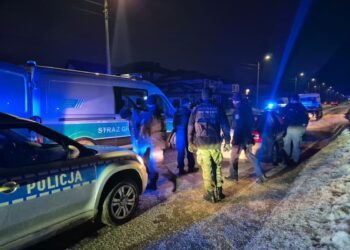 Nielegalnie do Polski z Litwy