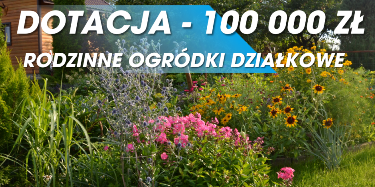 100 000 zł na suwalskie ROD. Ruszył nabór wniosków na rok 2026