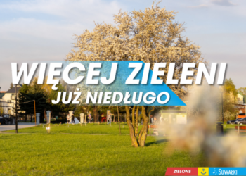 Nowe parki kieszonkowe w Suwałkach. Ruszyły przetargi