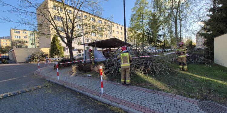 Pracowita niedziela strażaków powiatu białostockiego