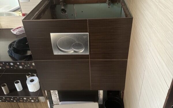 Znaleźli go w zabudowie spłuczki toalety