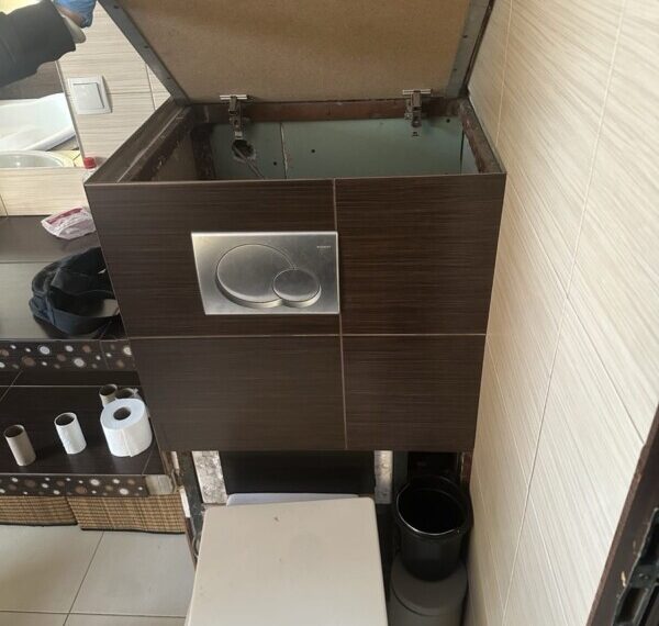 Znaleźli go w zabudowie spłuczki toalety