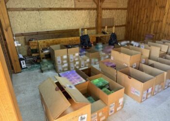 Chcieli oszukać Skarb Państwa na blisko 4,5 miliona złotych - zatrzymali ich policjanci