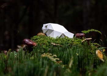 Ruszył nabór filmów na 20. MFFK ŻUBROFFKA