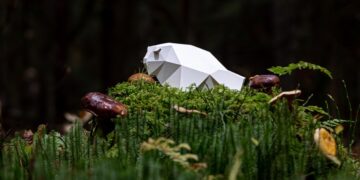 Ruszył nabór filmów na 20. MFFK ŻUBROFFKA