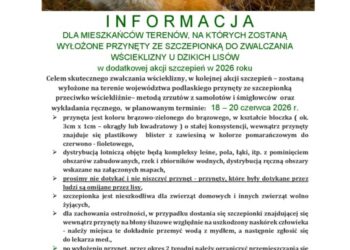 Akcja szczepienia lisów w Białymstoku
